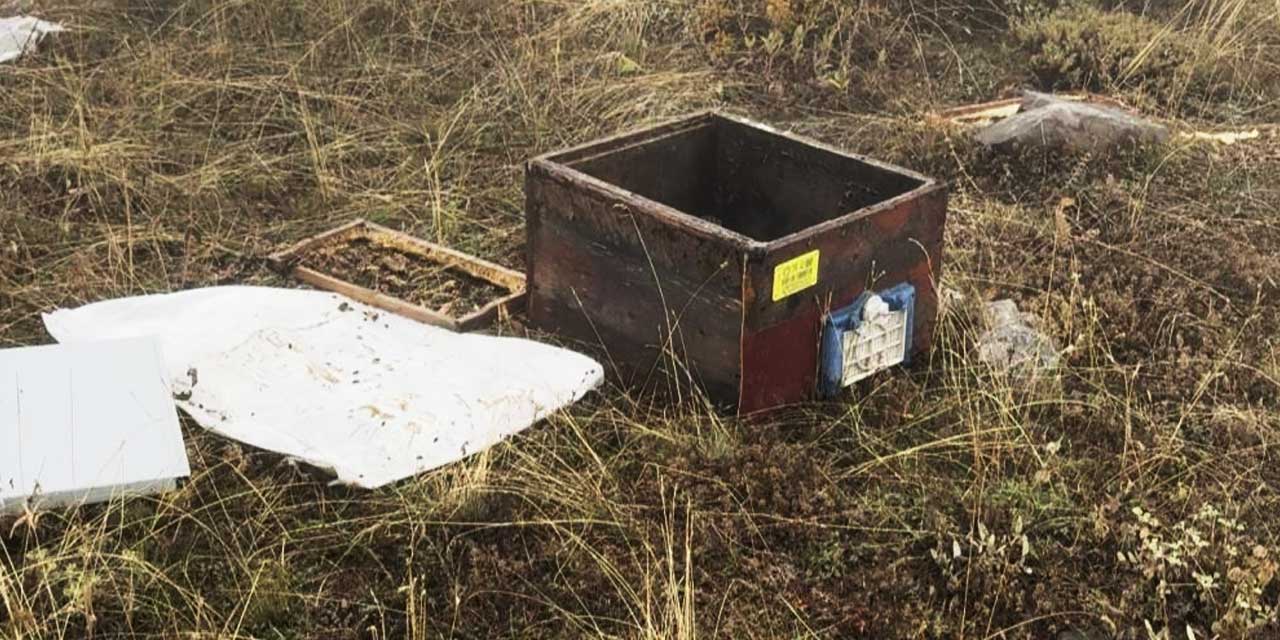 Doğaya Saygı Dersi: Ayı Kovanları Yıktı, Arıcı "Afiyet Olsun" Dedi