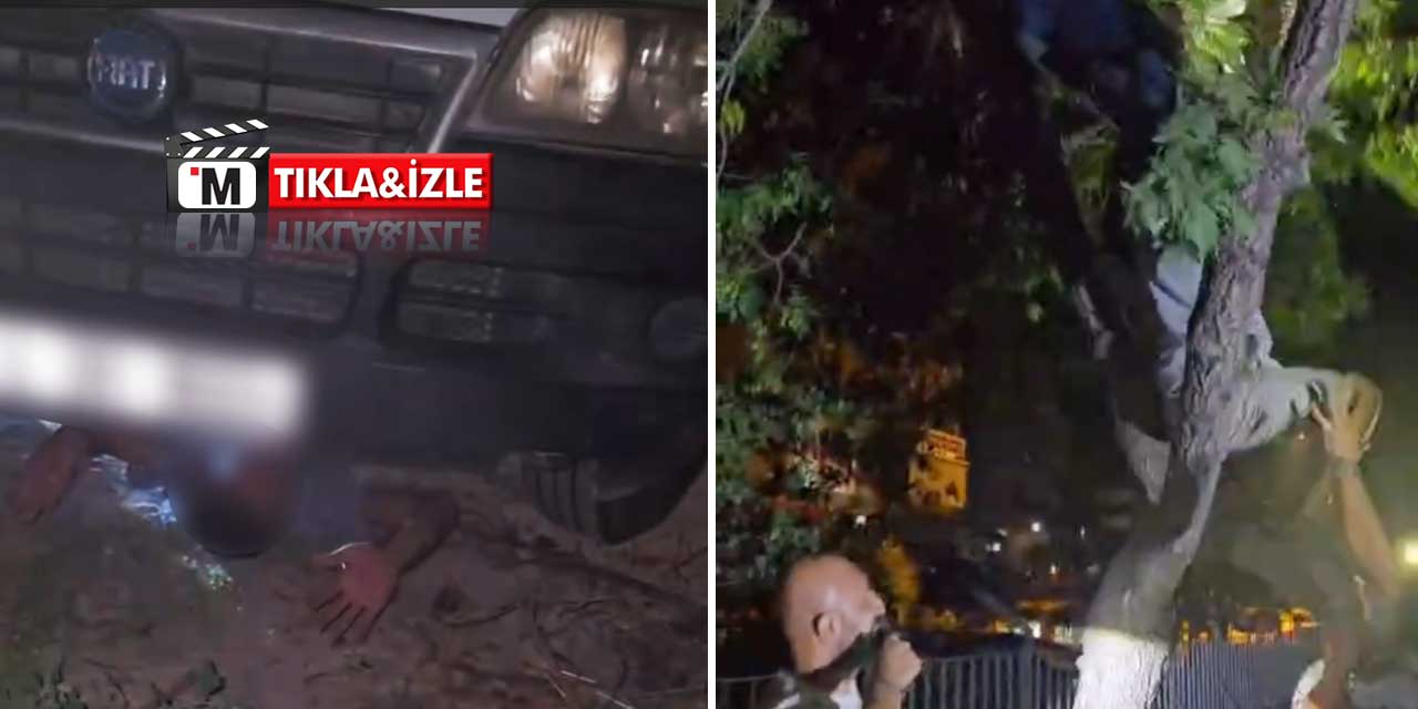 Konya polisinden kaçamadılar: Biri aracın altında, biri ağaçta