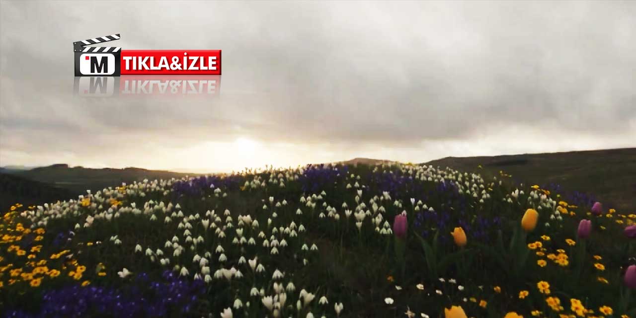 Çöp dağları çiçek oldu! İzmir AK Parti'ye mi geçiyor?