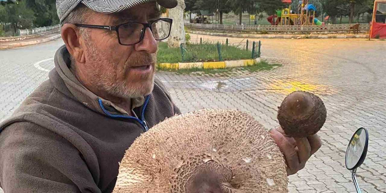 Yağmur Yağdı, Beyşehir'de Dev Mantar Fışkırdı