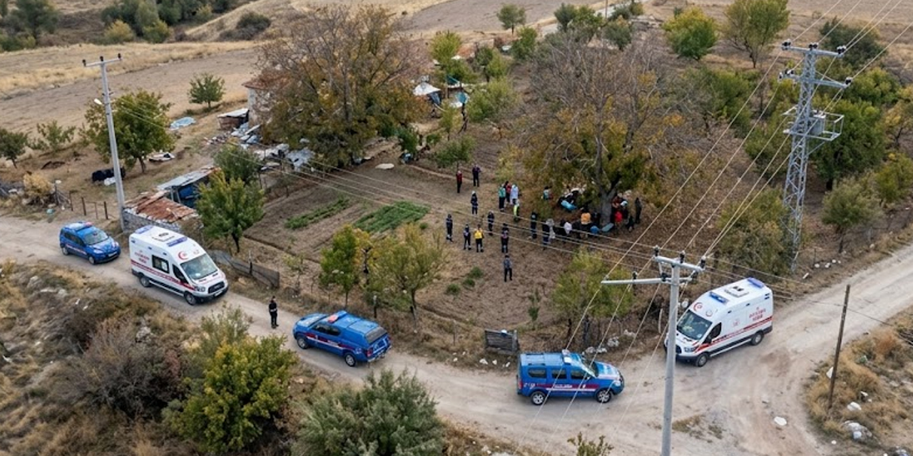 Ceviz Sırığı Yüksek Gerilime Temas Etti