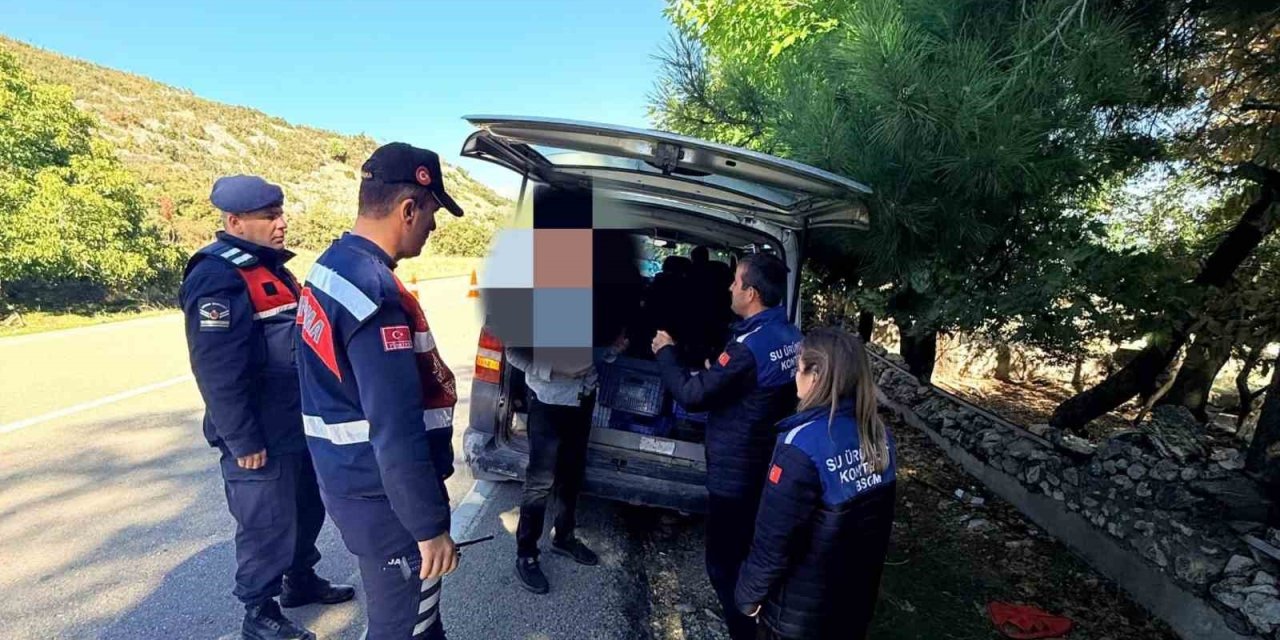 Yol denetiminde 50 kilo balık ele geçirildi