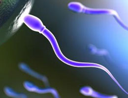 Erkeklerde kısırlığı bitirecek gelişme!