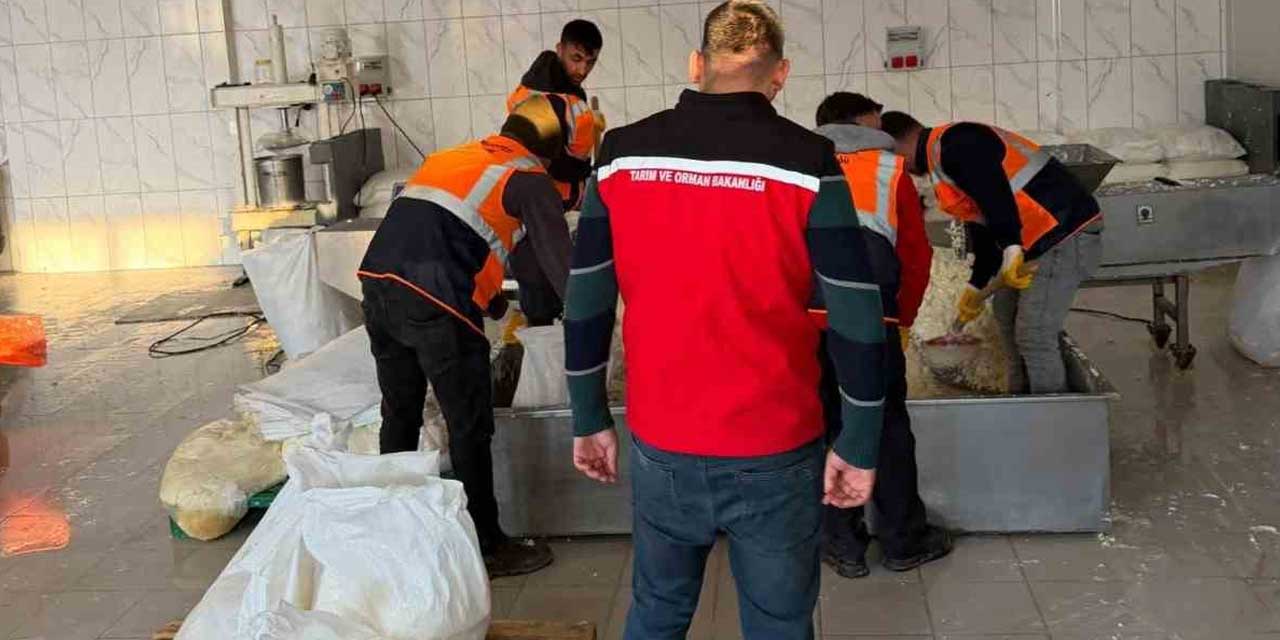Akşehir'de Kaçak Üretim Yerine Operasyon: 9 Ton Peynir İmha Edildi