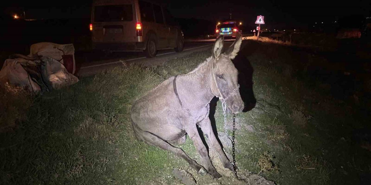 Karaman’da Gece Kazası: Yola Çıkan Eşek Telef Oldu