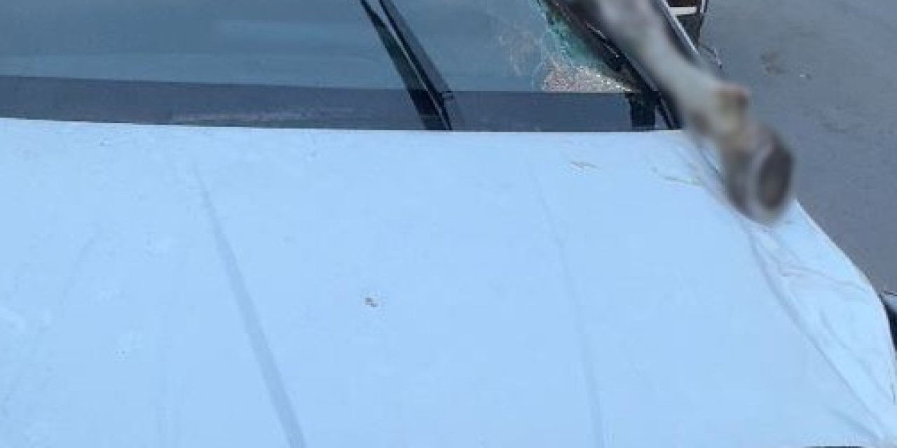 Korkunç kaza: Atın kopan bacağı otomobile saplandı