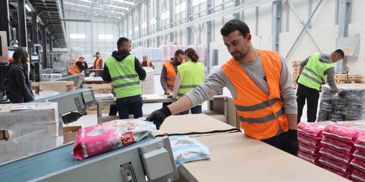 Ürgüp’teki Bu Fabrika Bentonit Madenini Milyon Dolarlık İhracata Dönüştürüyor