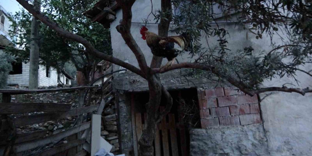 Benzin ile ocakta odun yakmak isterken evi yaktı