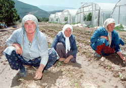 Karaman, projede Konya'yı solladı