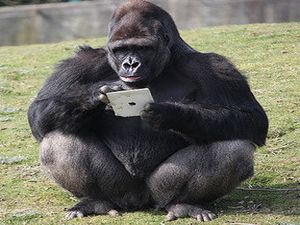 iPad'in son hayranı