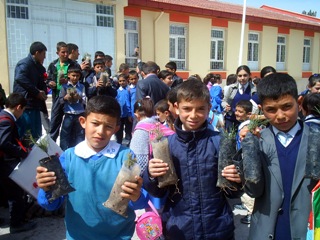 Tema Vakfı Karapınar'da fidan dağıttı