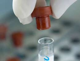 Çinliler sonunda bunları da yaptı!