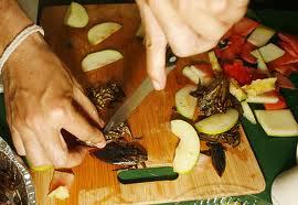 2020'de böcek yemeyen kalmayacak