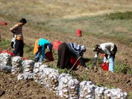 Şanlıurfa'da okul sıraları boşaldı