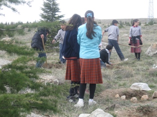 Akören'de 250 fidan toprakla buluşturuldu