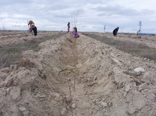 Karapınar'da ''bir milyon fidan'' kampanyası