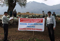 Köylüye sigortalı koyun dağıtıldı