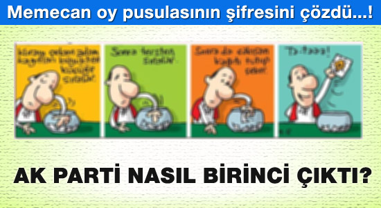 Memecan oy pusulasının şifresini çözdü