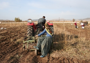 Nisan yağmurları çiftçileri sevindirdi