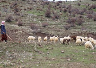 Baharın en deli dolu günlerini yaşıyoruz