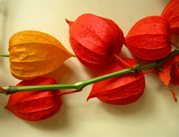 Sağlıklı kilo vermenin altın sırrı