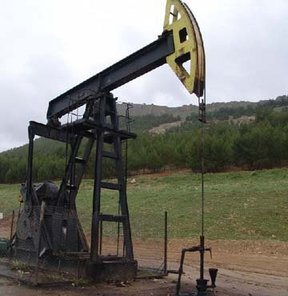 17 yıllık ömrü kaldı