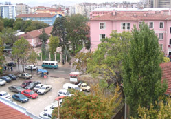 Numune Hastanesi , 'kronik hasta'