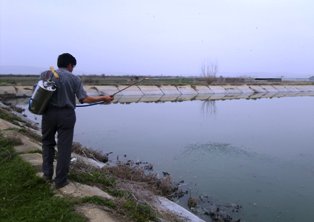 Akşehir'de larva mücadelesi başladı
