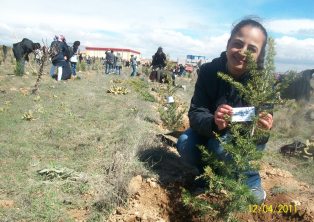 Engili'de 500 fidan toprakla buluşturuldu