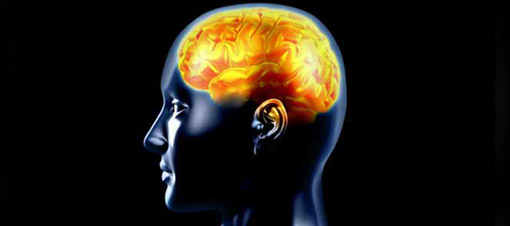 Beyin, Alzheimer'dan önce küçülüyor