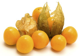 "Altın Çilek"e büyük ilgi!