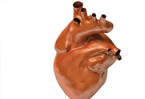 Kalp damar hastalıklarına dur demek mümkün