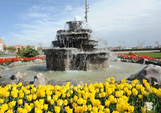 Türkiye'yi Konya'nın 'Lale'si süslüyor