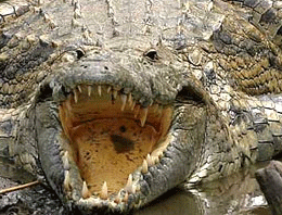 Onun intiharı tüyler ürpertti!