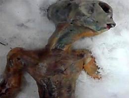 Dünyanın konuştuğu görüntü!