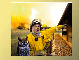 Teksas'ta kıyamet kopuyor!