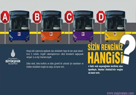 İstanbullular otobüs rengini seçti