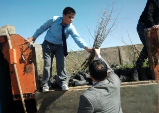 AK Parti gençlik kolları fidan dağıttı