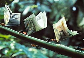 Karıncalar 222 bin doları yedi