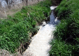 Öziçi Deresi'nin kirletildiği iddiası