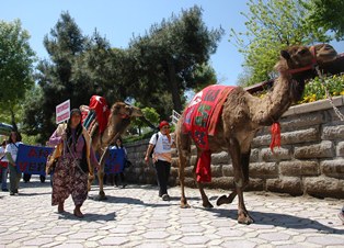 'Anadolu'yu vermeyeceğiz'