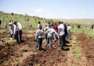 Kayasu İlköğretim Okulu'ndan hatıra ormanı