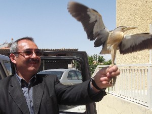 Yaralı Balaban tedavisinin ardından doğaya bırakıldı