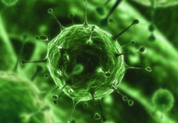 Korkutan virüs salgını!