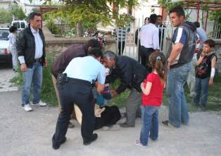 Kazayla kız arkadaşını öldürdü