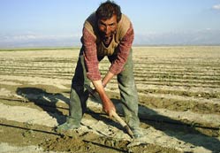 Çölün ortasında ‘İrem’ b