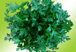 'Maydanoz' deyip geçmeyin