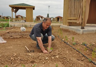 Hem sebze yetiştiriyorlar hem stres atıyorlar
