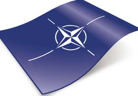 NATO Afganistan'dan özür diledi