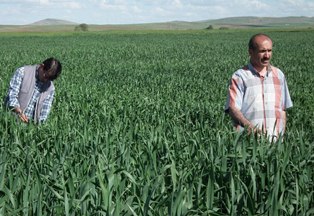 Çiftçiye sigorta uyarısı